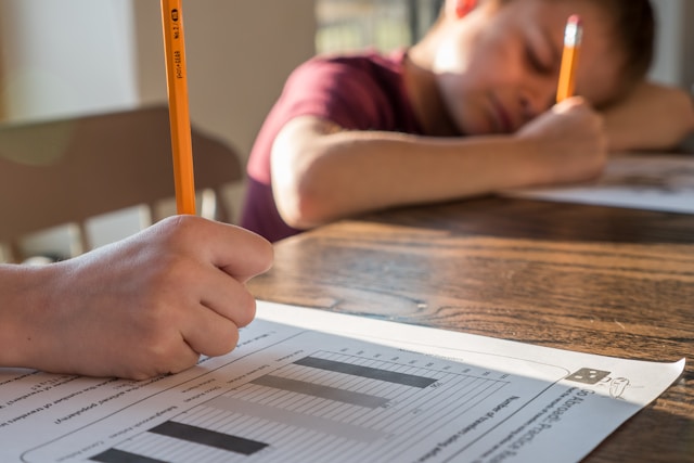 Huiswerk